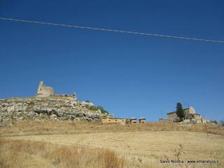 stello Mongialino-08-09-2014 17-03-34